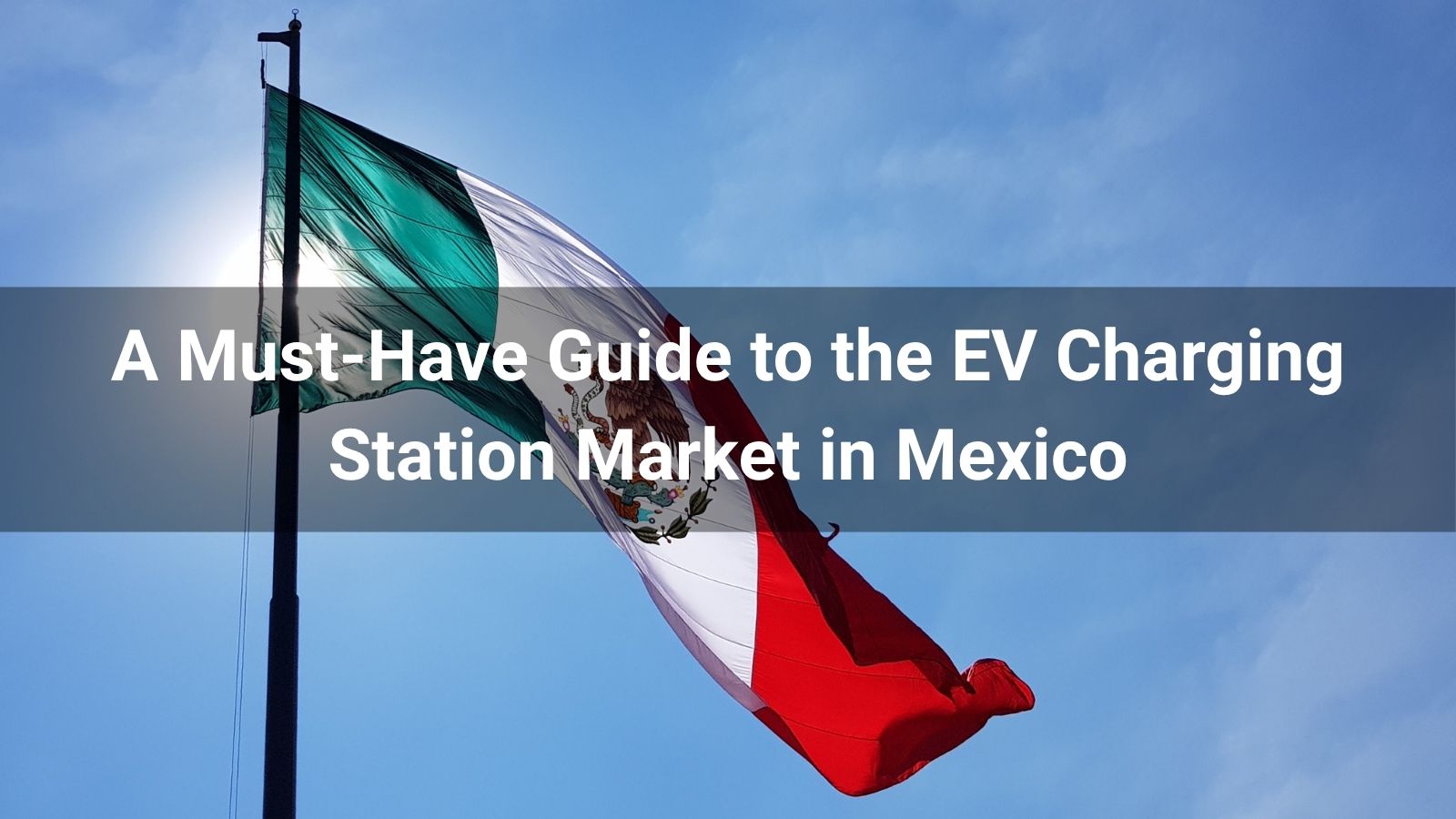 Guía imprescindible del mercado de estaciones de carga para vehículos eléctricos en México
   